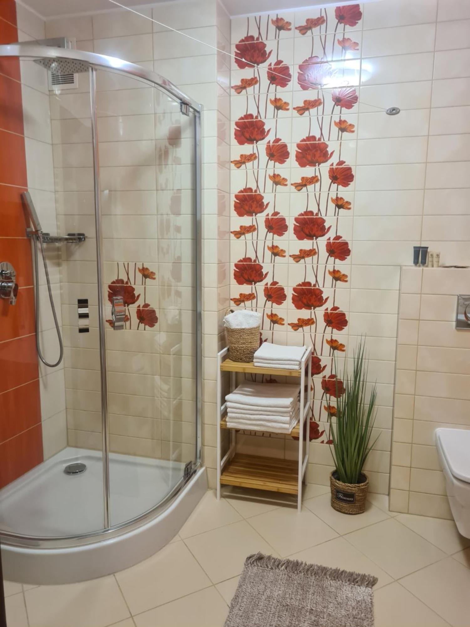 Apartament Maki ซาโกปาเน ภายนอก รูปภาพ
